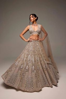 Designer net lehenga set in beige with embroidery and all-over sequins
